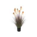 Bej Pampas Yapay Bitki 122cm