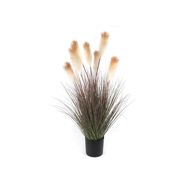 Bej Pampas Yapay Bitki 122cm